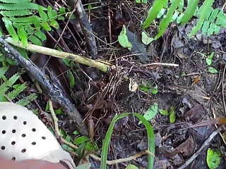 Outdoor Fuck with Step Sis