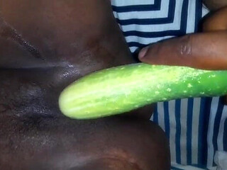 Today, I Put a Cucumber Into My Stepsister-in-law's Pussy.
