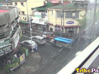 Slender Asian kitty drilled