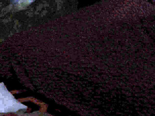 The East Block 28 Kathryn Allowed Pat to Fuck Her