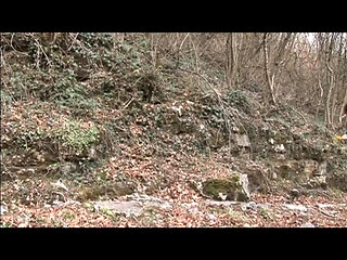 Big boobs hairy pussy milf fucking