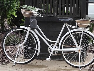 Rustic Beauty - Betzz
