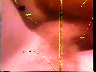 Arcadia Lake and Eric Edwards Each Other