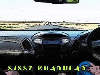 AUDIO ONLY - Brandy the homo shemale breaks in a sissy road-head style