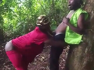Meet Him on a Good Day in the Bush