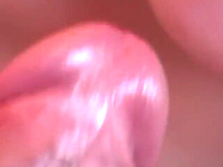 Nasty Intimacy - Vol. #02