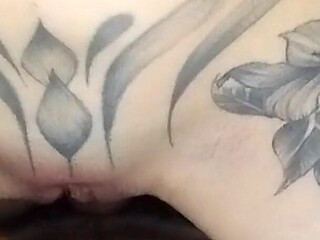 Vagina Rubbing on Penis