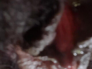 German fat hairy black pussy closeups