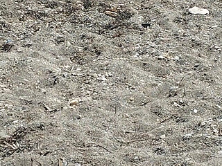 Another Little Bit of Beach