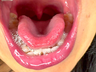 Let Me Show You Where Tiny Pets Goes