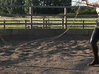 Trotting to Submission