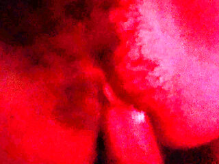 I Left After Lifting the Leg of My Sister-in-law