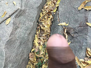 Tamil boy masterbathing forest in waiting for women flashing sex