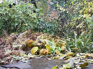 Mature Ukrainian MILF Pissing Doggystyle Outdoor - Hot Amateur Public Pee