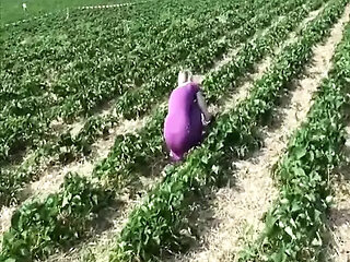 Fucking After Picking Up Strawberries