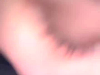 Blowjob Horny Tits