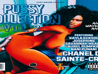 Pussy Collection Vol. 2