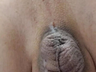 Anonymous creampies