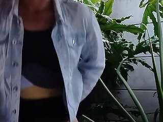 Zippy Nippy