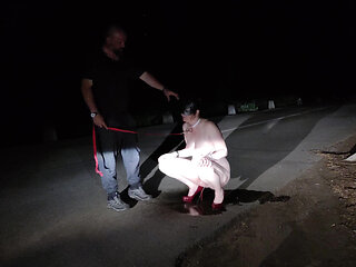 A Guy Made Me Suck His Cock and Piss at the Road