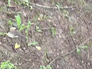 My Private Public Toilette