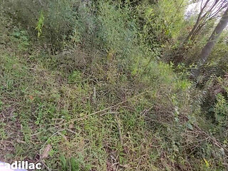 I Had Sex with the Caretaker's Stepson in the Woods of My Farm.