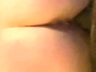 Big Dawg's BBC fills up thick PAWG