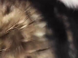 Goddess in Furs, Toilet Slavery