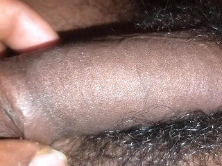 Holi ke sijan me hilaya