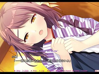 Hentais, hentai, anime