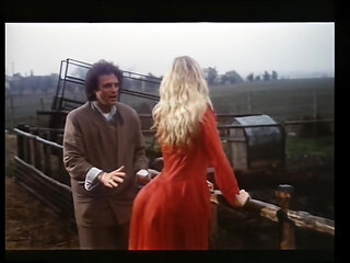 The Harlot Is Very Provocative