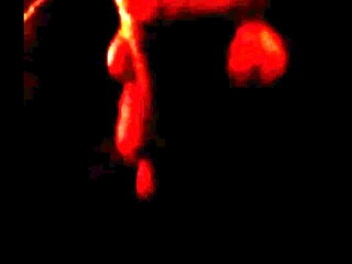 Verification video 4 lemmefuckbictch