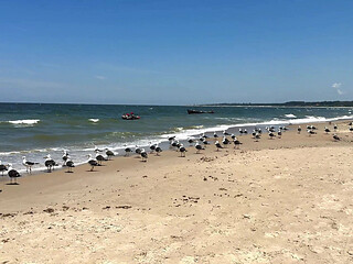 We Travel to the Beach of San Luis