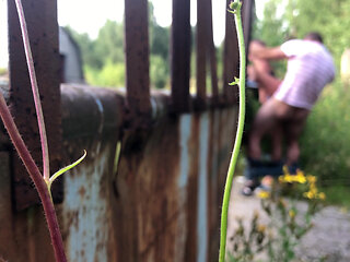 How I Love Summer for the Opportunity to Fuck in the Bushes