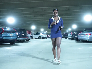The Stewardess