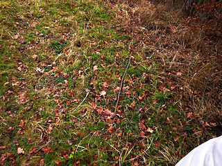 Tits Slap in Autumn