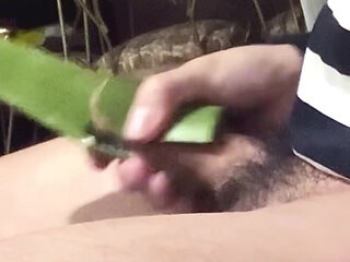 jerking off with an aloe leaf
