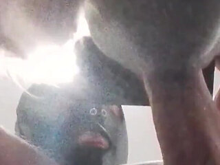 MILF with Blonde Pigtails Sucks Cock and Cums in Mouth