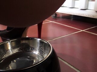 slaves have to drink pee of bowl