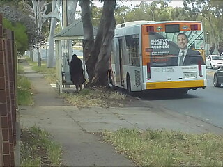 Curvy SSBBW picked up at bus stop for hot anal action