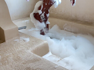 Play with Me in the Bath Tub