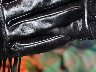 Sexual pin up Arya, ASMR video with long black gloves