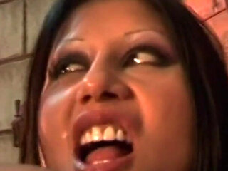 The Castle of Pleasure