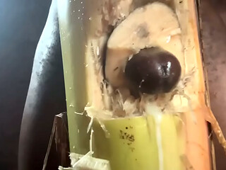 Best plantain tree fucking cumin amateur