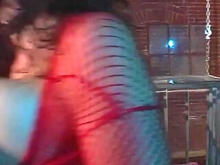 Busty Sondra Hall loves hardcore cock in lingerie