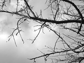 Peeing in the nature