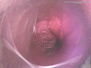 B034 Shrinking Man Sandwiched Between Two Giantess Butts Big Ass Fart Domination