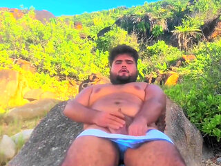 I Came on the Beach