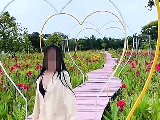 Walk with Me