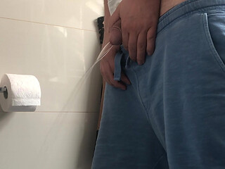 Toilet pee cam